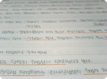 ./files/attach/images/2771/8795/kino_handwriting_2.jpg